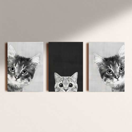 Kit: 3 Quadros Decorativos Vinilico sem Moldura Cats