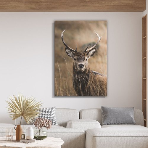 Tela Decorativa Grande Deer Florest - 60cm x 90cm