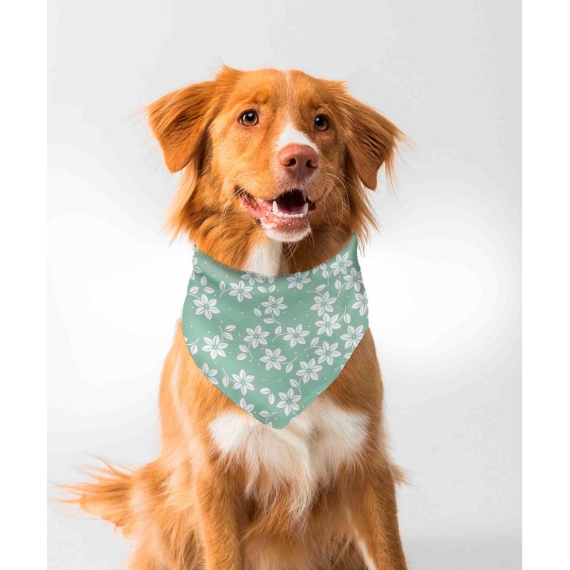 Kit com 10 Bandanas Pet Sortidas de Tecido Poliester Premium